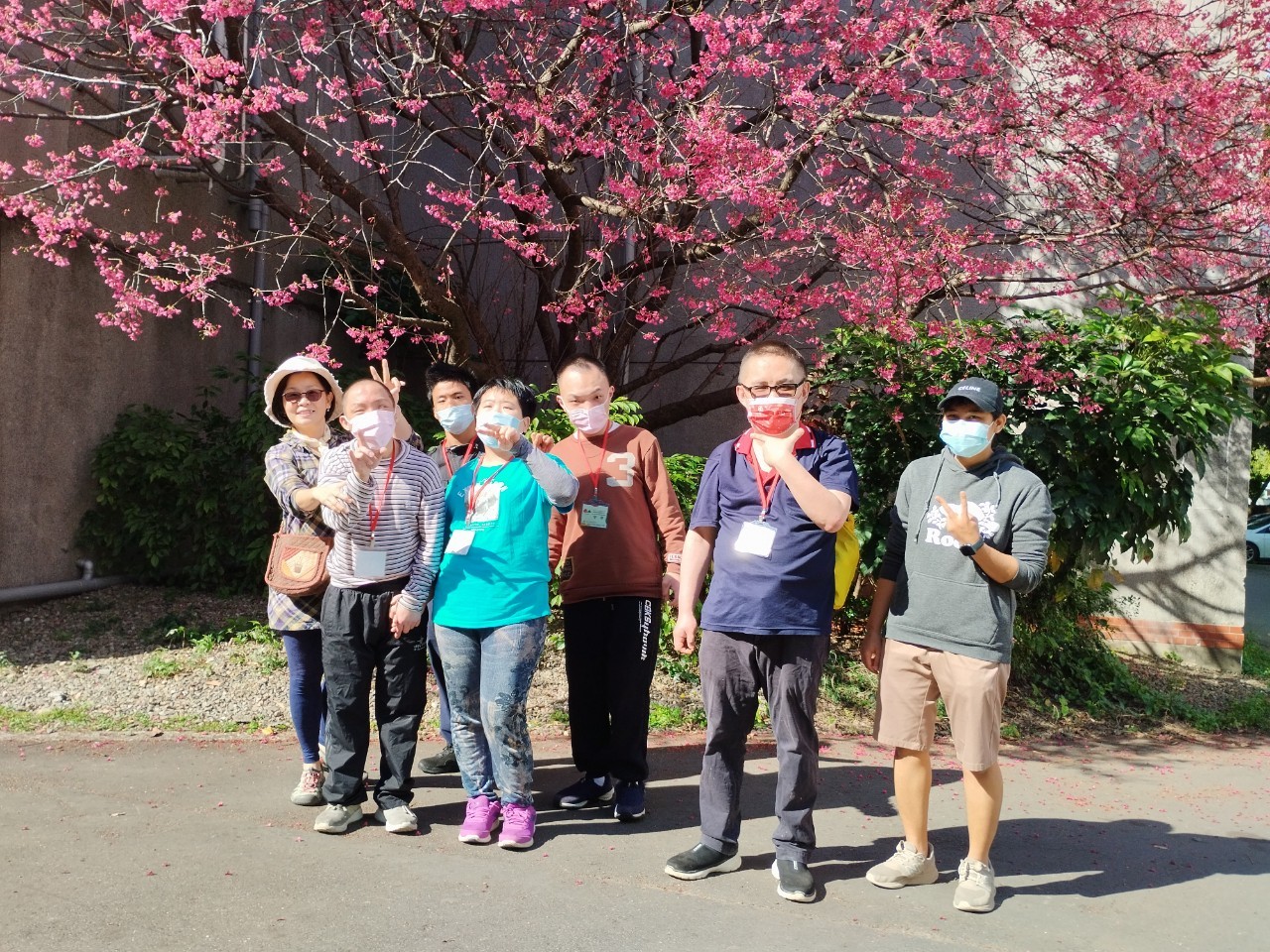 LINE_ALBUM_113219~社適不倒翁牛排館_240220_2.jpg 中原大學與櫻花合照