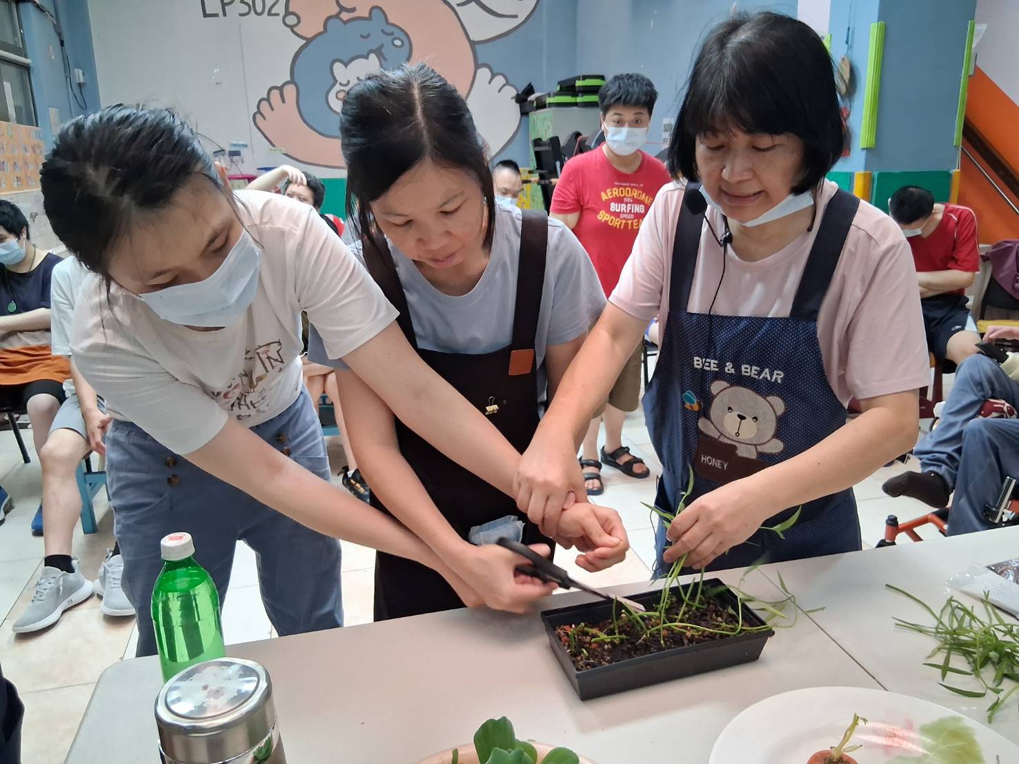 我會種植